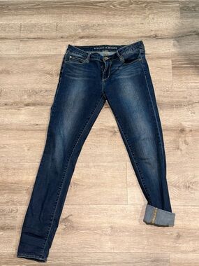 Articles Of Society Dark Indigo Skinny Jeans